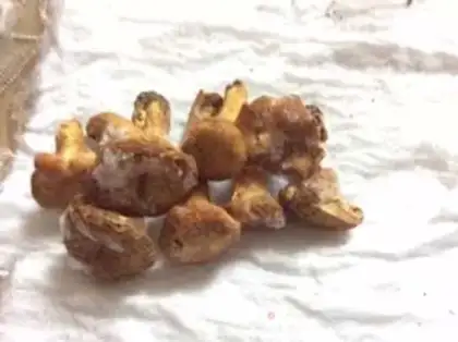 Make Pine-fried mountain soup step 2
