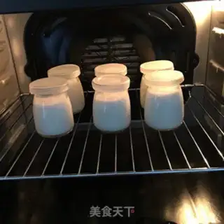 Make Homemade yogurt step 8