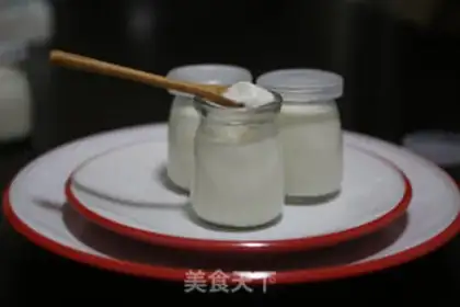 Make Homemade yogurt step 10
