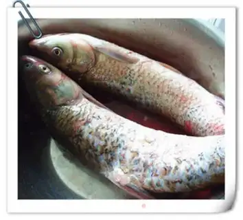 Make Smoked fish step 0