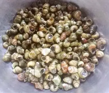 Make Garlic sauce step 0