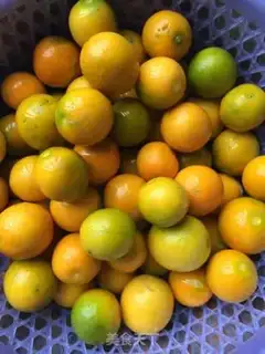 Make ♪ Orange honey ♪ step 0