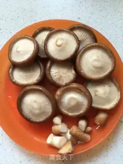 Make A mushroom step 0