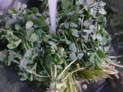 Make Scrambled herb seeds step 1