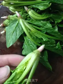 Make The pasta step 10