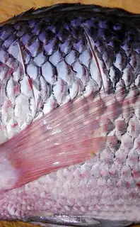 Make The soy sauce, the fish step 2