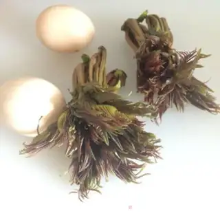 Make Fried eggs step 0
