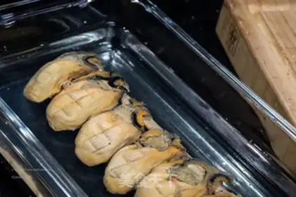 Make Cinnamon nectar step 1