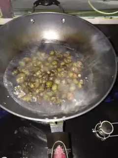 Make Snails step 0