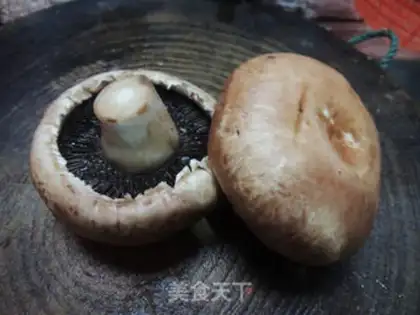 Make Frozen precious mushrooms step 1