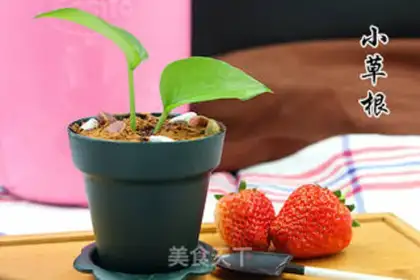 Make Battery yogurt step 11