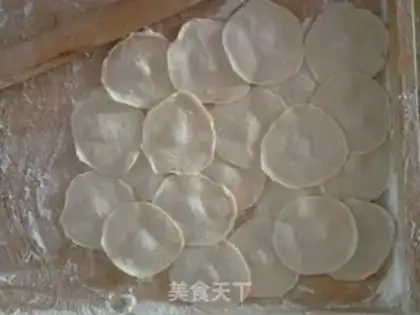 Make Pork dumplings step 8