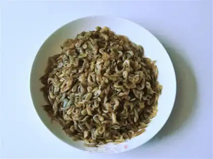 Make Shrimp step 0