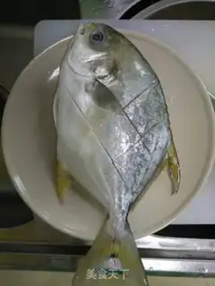 Make Vacuated goldfish step 0