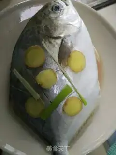 Make Vacuated goldfish step 1
