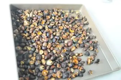 Make Homemade delicious mushroom chicken powder step 4
