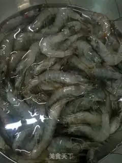 Make Blast shrimp step 0
