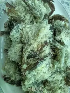 Make Blast shrimp step 3
