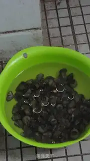 Make Soy sauce step 0