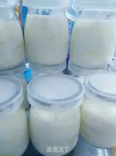 Make Milk powder homemade yogurt step 11