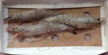 Make Fried shrimp step 0