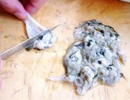 Make Onion bird step 1