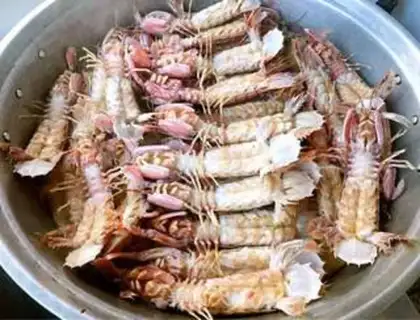 Make Scrawny shrimp step 3