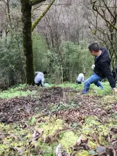 Make Wild quartz step 0