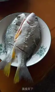 Make Seafish scavengers step 2