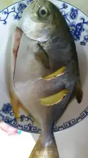 Make Red-burned mackerel step 0