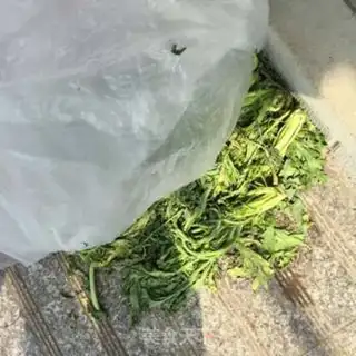 Make Dry food step 2