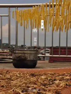 Make Dry food step 16