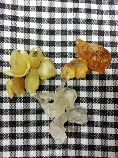 Make Soap-fruit geled snow congee step 0