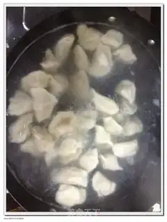 Make Handmade dumplings step 8
