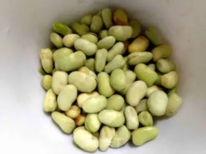 Make Weenie and beans step 1