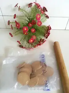Make The yogurt plant step 2