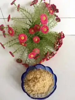 Make The yogurt plant step 4