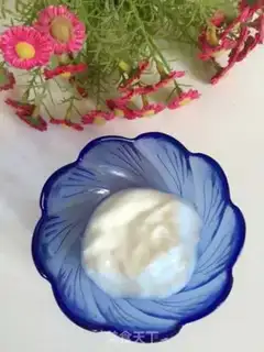 Make The yogurt plant step 5