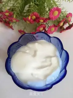 Make The yogurt plant step 7