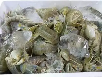 Make Skinned shrimp step 0