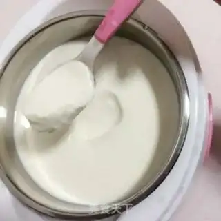 Make Homemade yogurt step 12