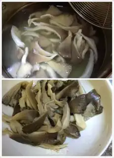Make Pelican oil for mushrooms step 1