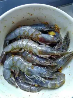 Make Shrimp step 1
