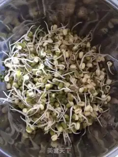 Make Home rapid bean sprouts step 7
