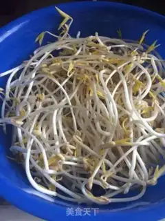Make Home rapid bean sprouts step 11