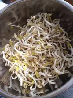 Make Home rapid bean sprouts step 12