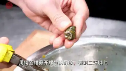 Make The snail step 3