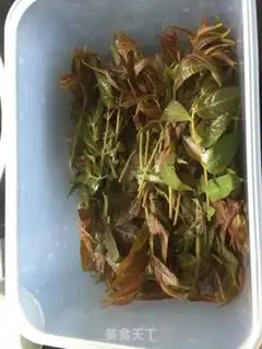 Make Pickles step 1