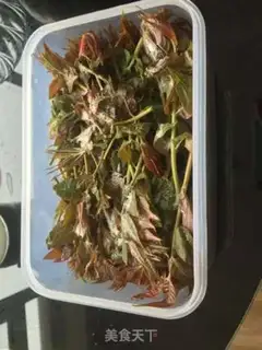 Make Pickles step 2