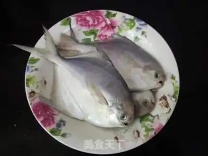 Make Squidfish step 0